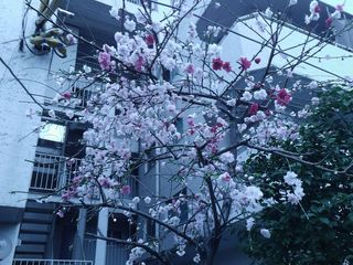 GEDV0022.jpg