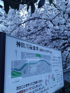 GEDV0043.JPG