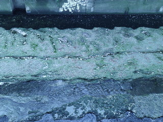 GEDV0045.JPG
