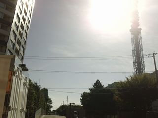 GEDV0047.JPG