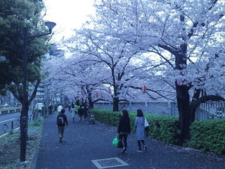 GEDV0058.JPG
